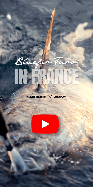 Shimano 2025