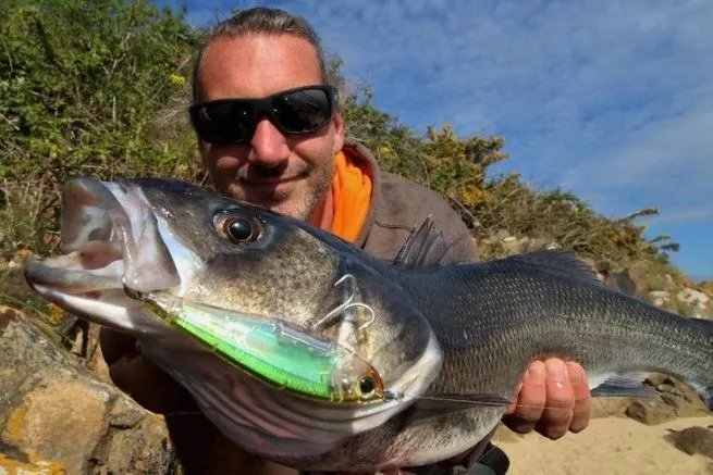 Leurre Yo Zuri Duel 3D Inshore Twitchbait 130SS – Couleur R1349-PSCL – Neuf