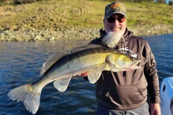 Précision . la haute école de la pêche au coup ! von Pollet Michel: bon