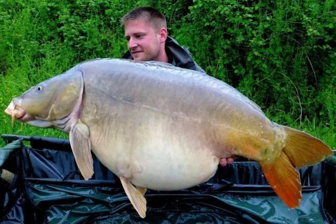 LIGNE DE CONVERSION de poids de carpe de pêche 14/28/52 grammes barbel