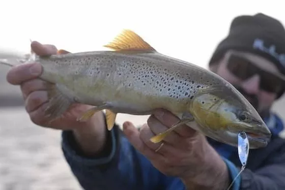 ANCIENNES CUILLERES POUR LA PÊCHE